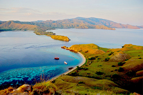 lodge dekat masjid raya bandung wisata bahari lamongan