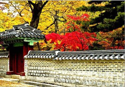Menikmati Musim Gugur di Korea  Yuktravel com