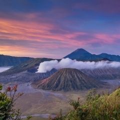 bromo weddingku