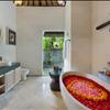 Two Bedroom Forest View Villa with Private Pool and Bathtub