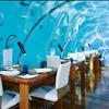 An underwater dining experience