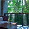 Jungle Suite with Private Balcony