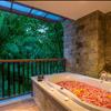 River Valley Suite with Private Jacuzzi