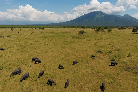 Paket Tour: 3D/2N Favourite Friendly Banyuwangi Rajegwesi ...