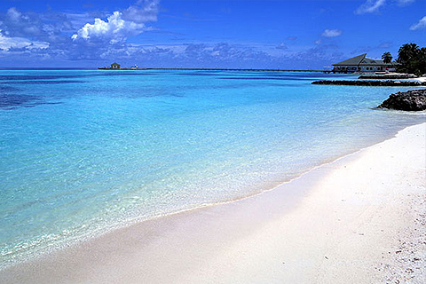 Paket Tour: 2D/1N Favourite Pulau Pramuka (Snorkeling ...