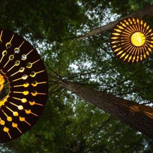 Treewalk Nightlights