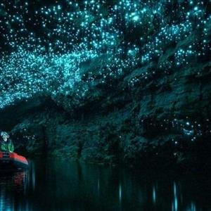 Spellbound Glowworm and Cave Explorer