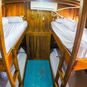 Standard Boat