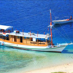Standard Boat