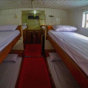 Standard Boat