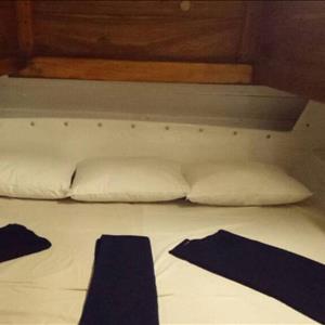 Standard Boat