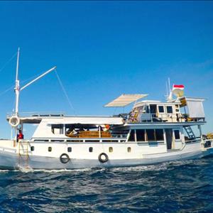 Standard Boat