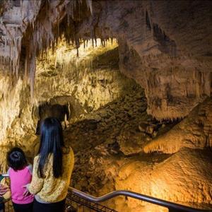 Waitomo Glowworm Caves Guided Tour
